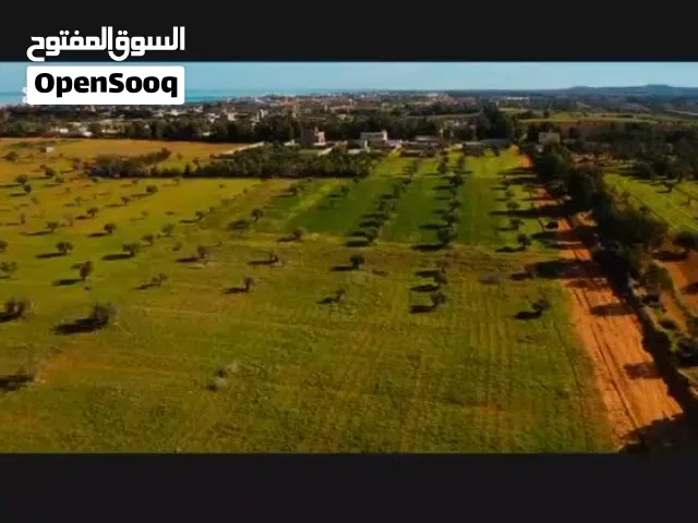 Mixed Use Land for Sale in Al Khums Other