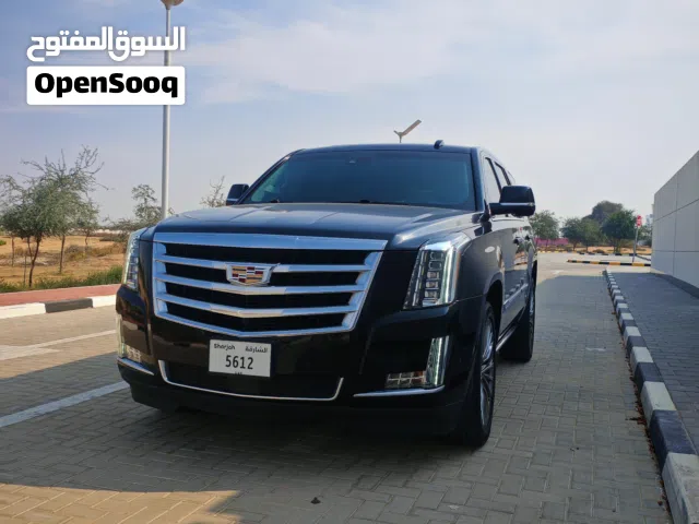 Used Cadillac Escalade in Ajman