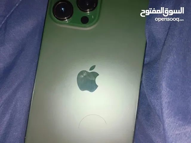 iPhone 13 Pro Max 256