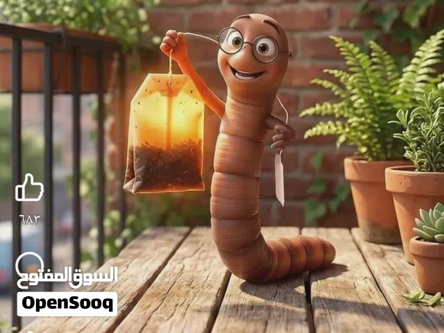 ترتيب حدائق