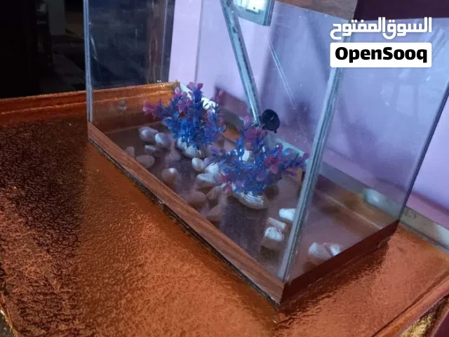حوض سمك مستعمل سنه.  مع فلتر 6 واط.بسعر 10 ليرات..  .الموقع ماركه الجنوبيه ..جبل النصر دوار الجبالي.