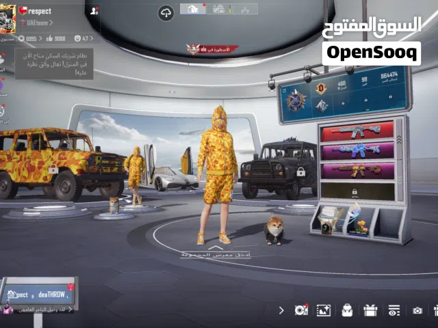 Pubg Accounts and Characters for Sale in Al Ain