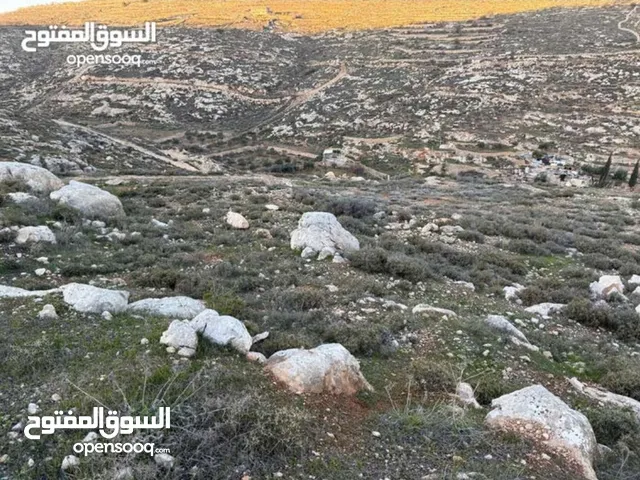 نصف دونم أرض طابو مستوية بإطلالة جميلة