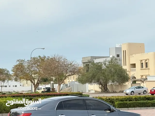 Used Toyota Avalon in Muscat