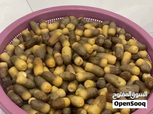 رطب نغال للبيع