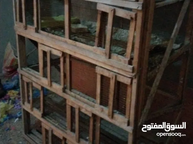 تصنيع عشش حيوانات وطيور بالخشب بأفضل خامه