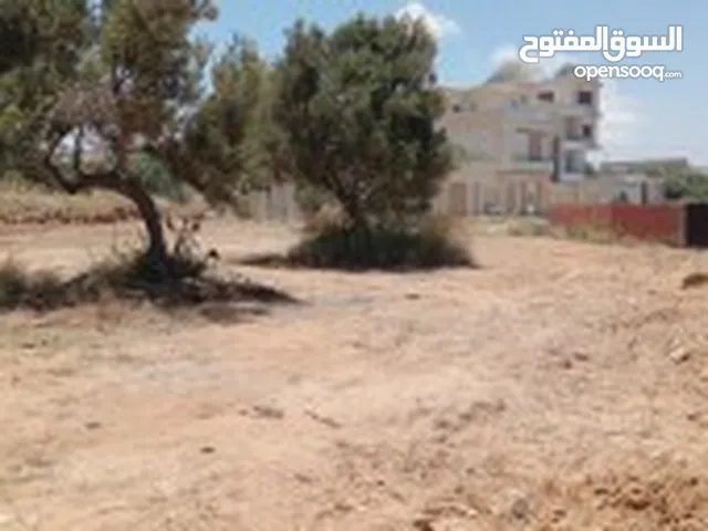 قطعة ارض بطبلبة مسجلة