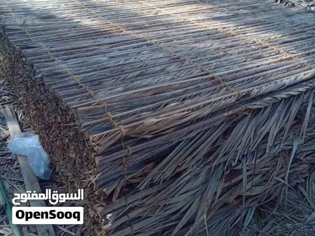 معي دعون جديده بريحتهم مال ذا الشهر حمل قبل النفاذ المصنعه الحجم المتوسط
