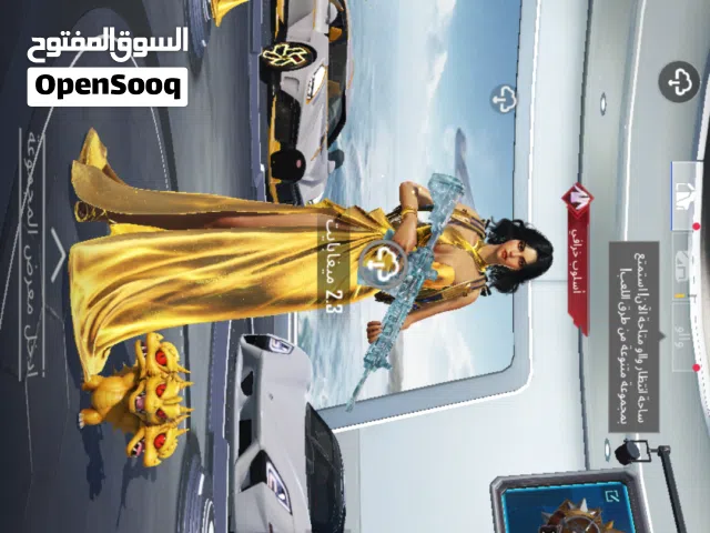 Pubg Accounts and Characters for Sale in Basra