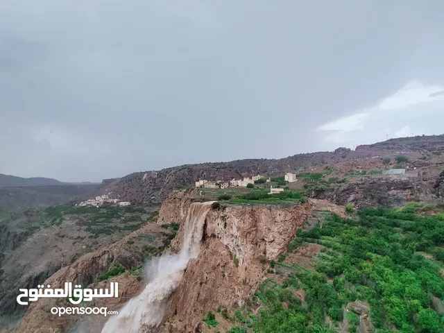 مرشد سياحي