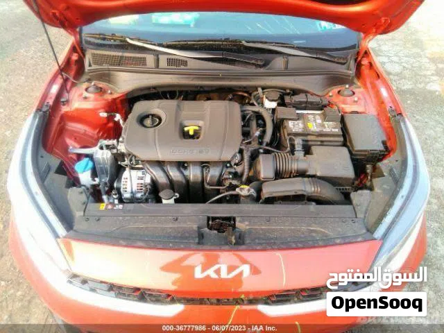 فورتي جيتي لاين مشمشي 2023