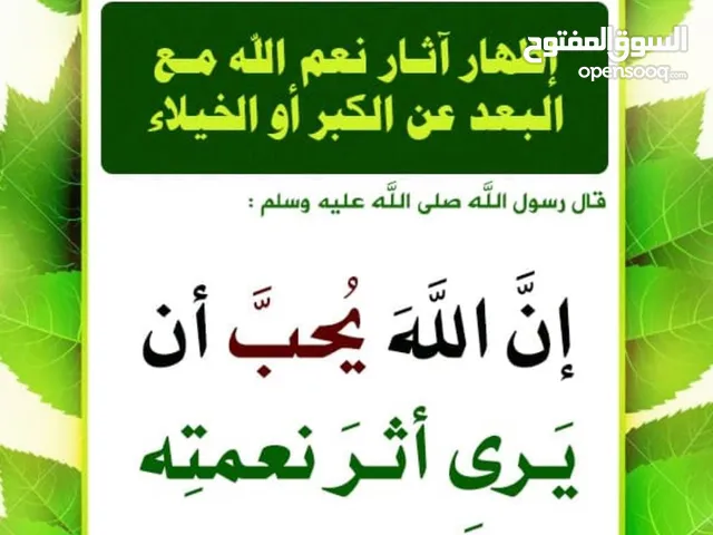 Elementary Teacher in Amman