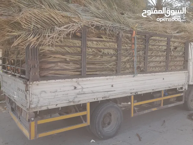 سعف نخيل جديد