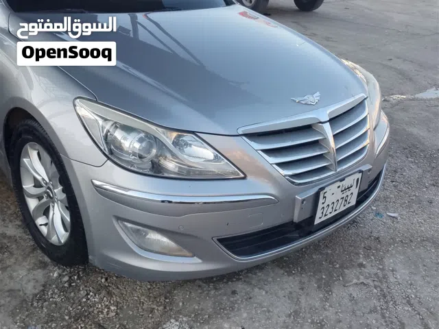 2013 جينيسيس اخرى