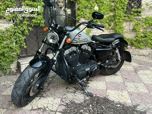 هارلي ديفيدسون 2010