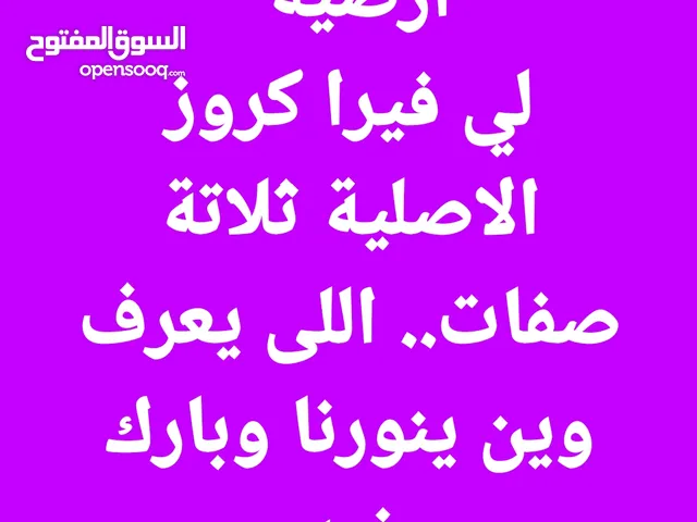 مطلوب تعسات هونداي فروكوزر ثلاث صفات لون بيج