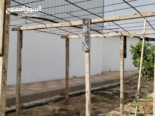 عمل عريشة مع الزراعة تشجير كل مايخص الحدائق بأقل الأسعار