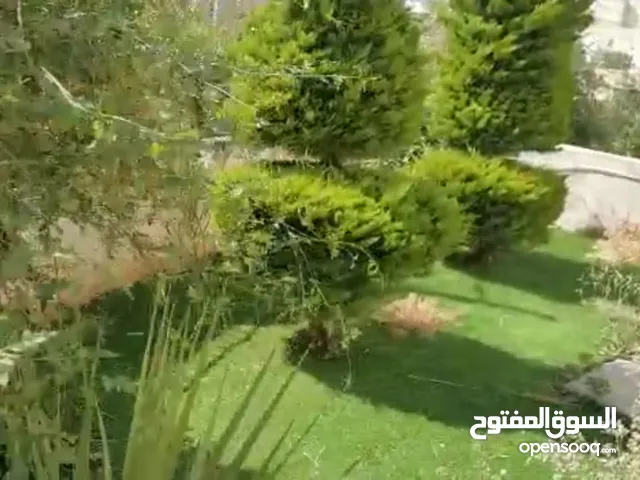 800m2 4 Bedrooms Villa for Sale in Amman Abdoun