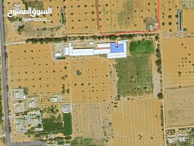 Farm Land for Sale in Qasr Al-Akhiar Other