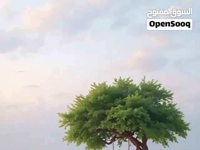 Semi Furnished Monthly in Muscat Al Khuwair