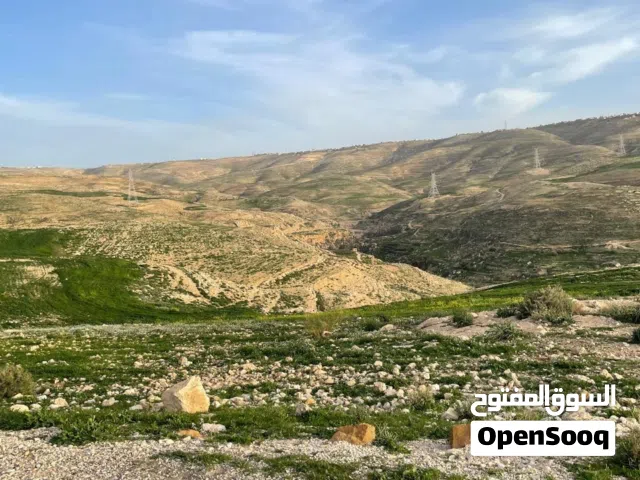 Farm Land for Sale in Amman Al-Mashqar