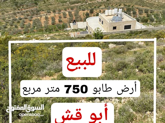 للبيع قطعة ارض استثمارية في ابو قش