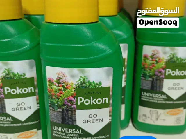 نبات داخلي طبيعي