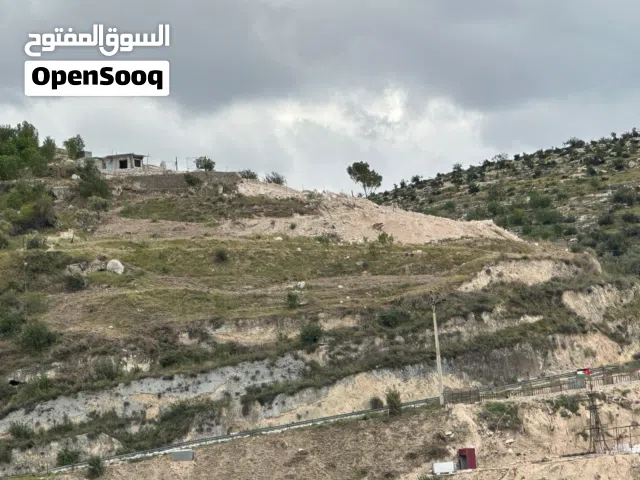 Mixed Use Land for Sale in Ajloun Other