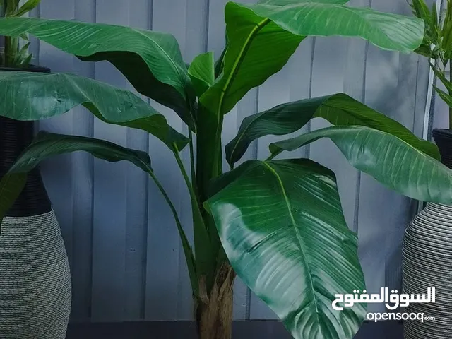 شجرة موزة صناعية طولها 120سم