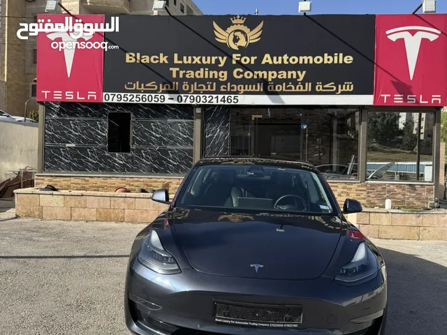 Tesla Model 3 Standard Range Plus 2021