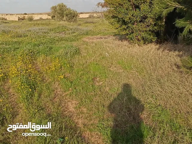 Farm Land for Sale in Gharyan Other