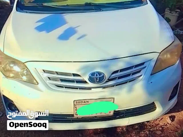 كوريلا 2013شاااااذة