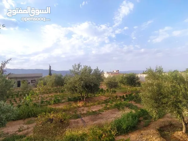 مزرعة للبيع