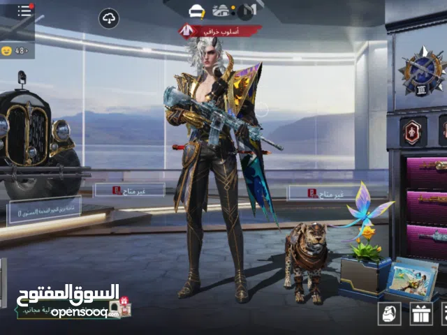 Pubg Accounts and Characters for Sale in Giza