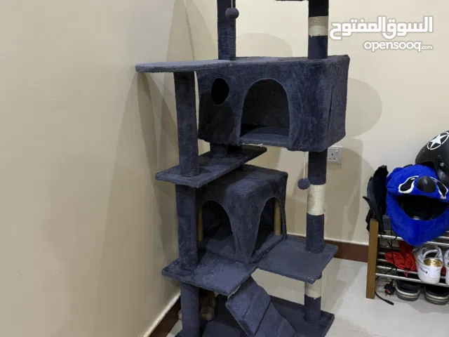 شجرة القطط للتسلق وبيتين