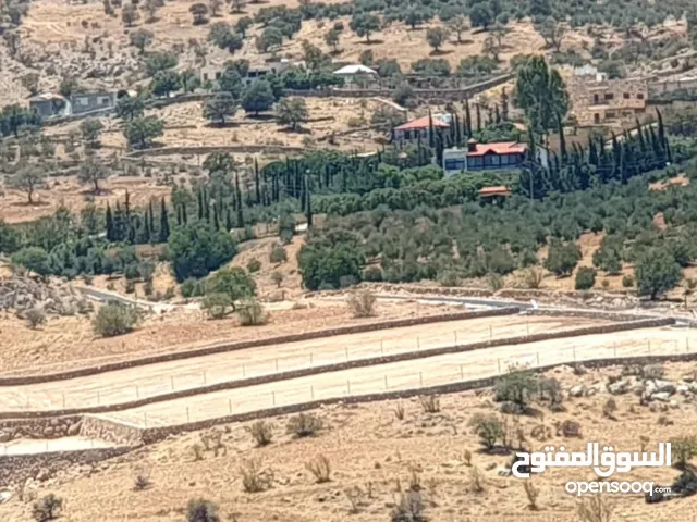 Farm Land for Sale in Zarqa Al-Alouk