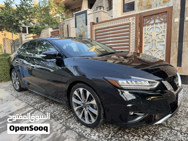 مكسيما بلاتينيوم 2023 رقم اربيل