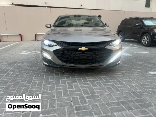 شفليه مليبو 2023 فول بانوراما وارد ممشي 50الف