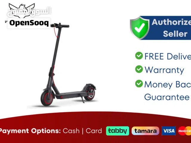 Wind Horse T1 Electric Scooter