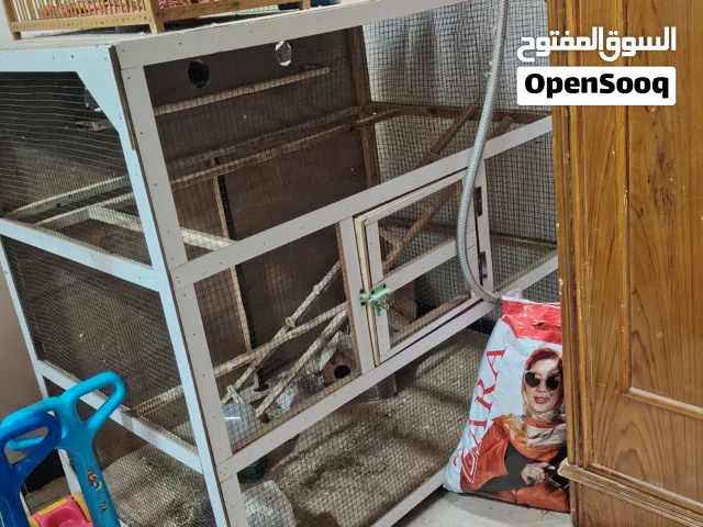 قفاص اللبيع