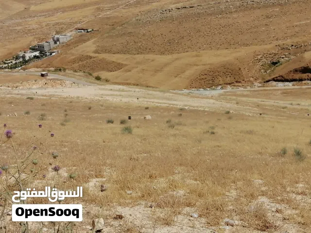 أرض سكنية مميزة للبيع في الزرقاء - منطقة جريبا خلف  ضاحية المدينة مطلة وعالية