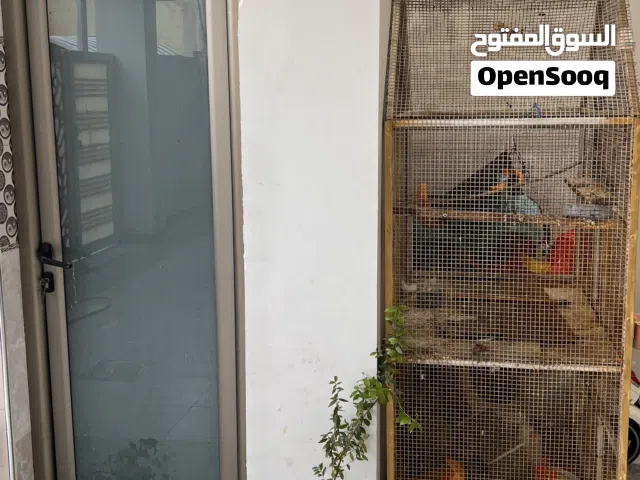 قفص حديد للبيع ارتفاع مترين وعرض متر ونص