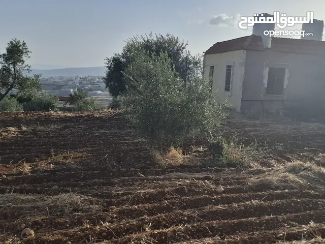 بيت ريفي على 3 دونمات ونصف للبيع مزروعه في جرش موقع مميز مع نظام حراسه 24 شاعه