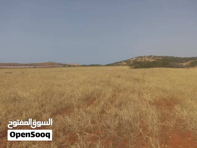 Mixed Use Land for Sale in Jebel Akhdar Sahel El-Jebel
