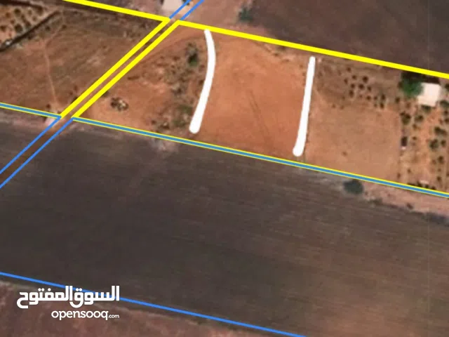 أرض مساحة 1 دونم في النصارية حوض 31 قطعة 8 العنق مفروزة فرز رضائي