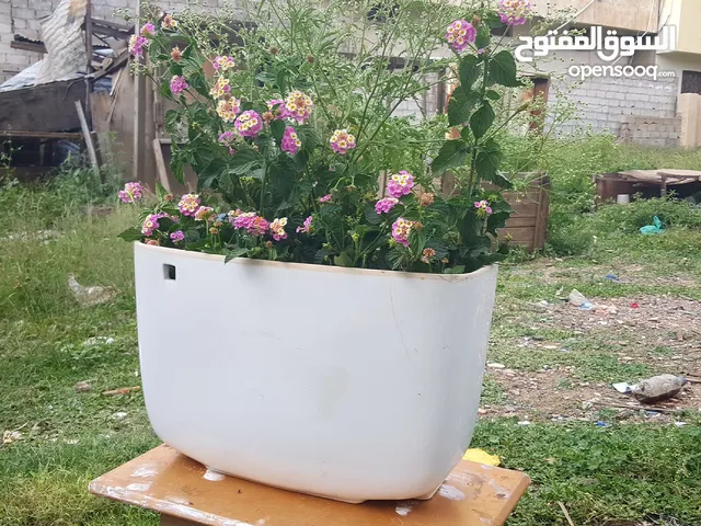 تخفيض1000ري وعاء صيص لنباتات الزينه من مادة الصين