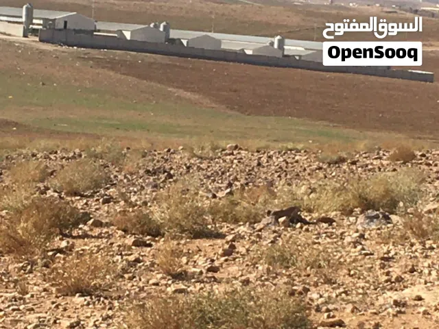 Mixed Use Land for Sale in Mafraq Um Al-Lulu
