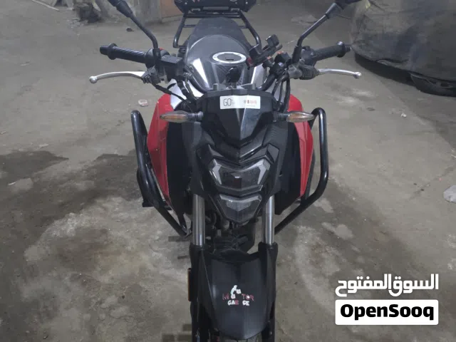 2025 SYM Other