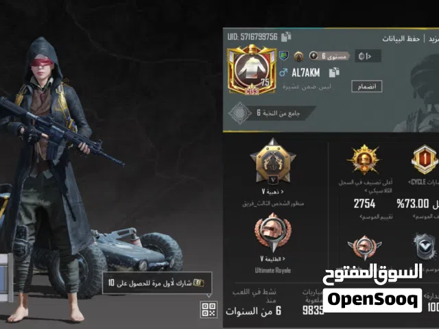 Pubg Accounts and Characters for Sale in Baghdad