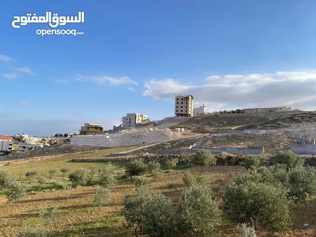 Mixed Use Land for Sale in Bethlehem Beit Ta'mar